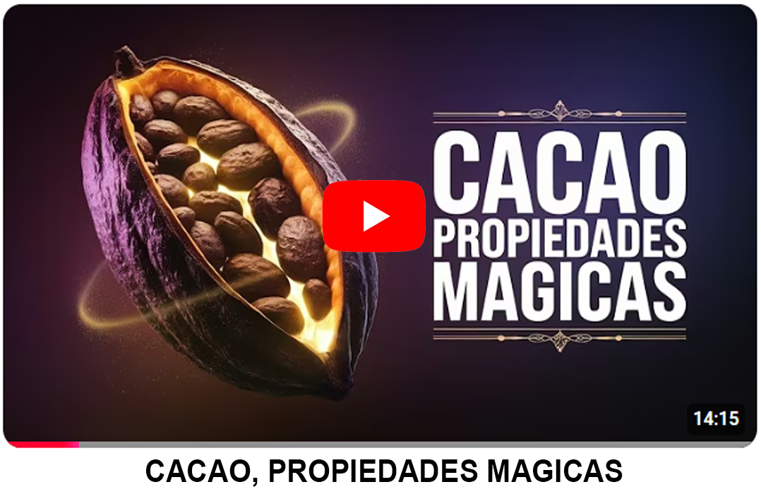 Foto del Producto