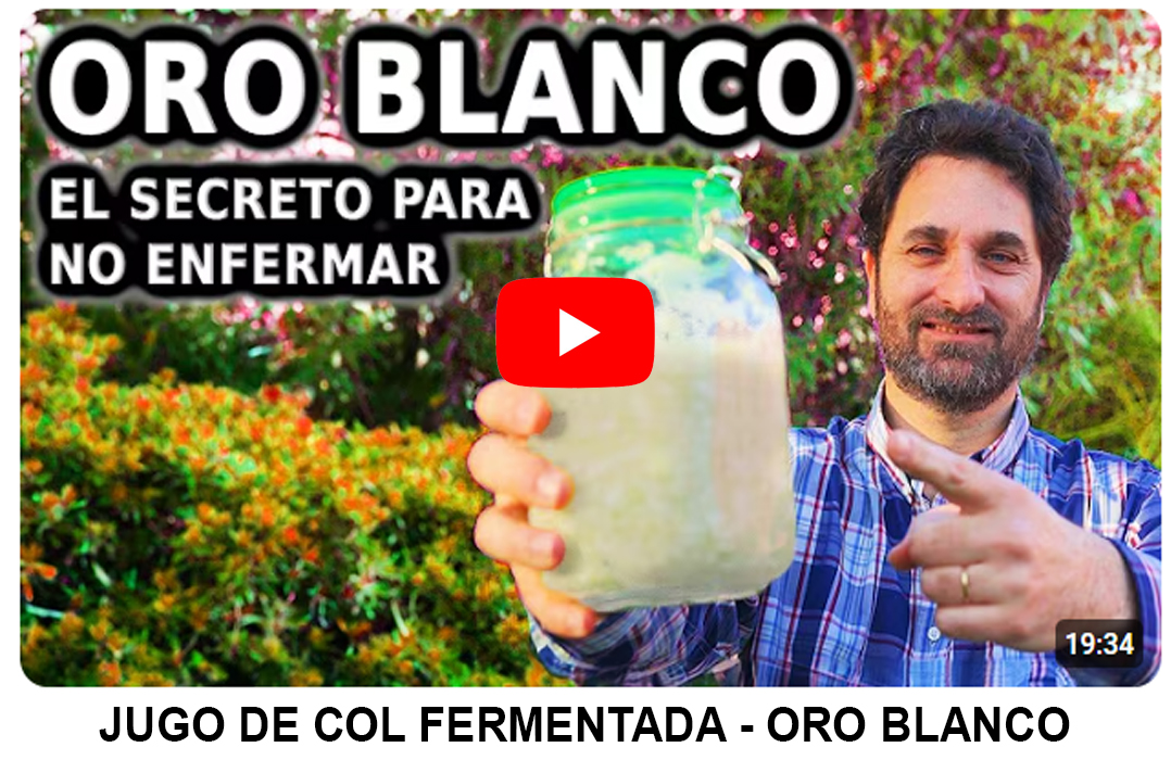 Foto del Producto