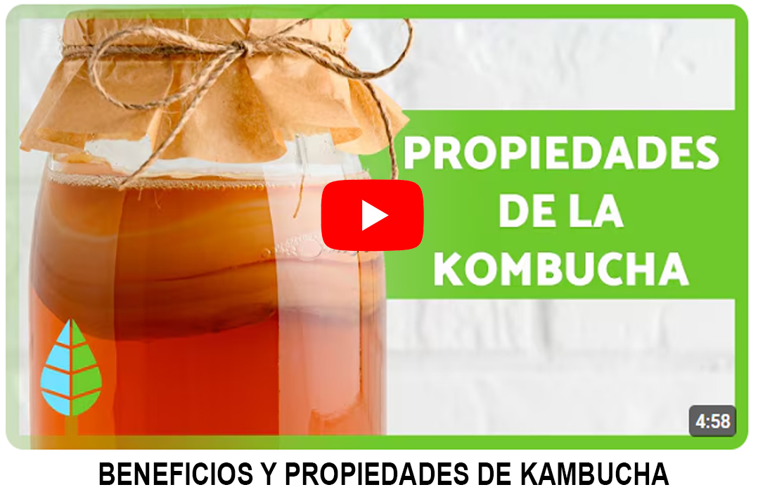 Foto del Producto