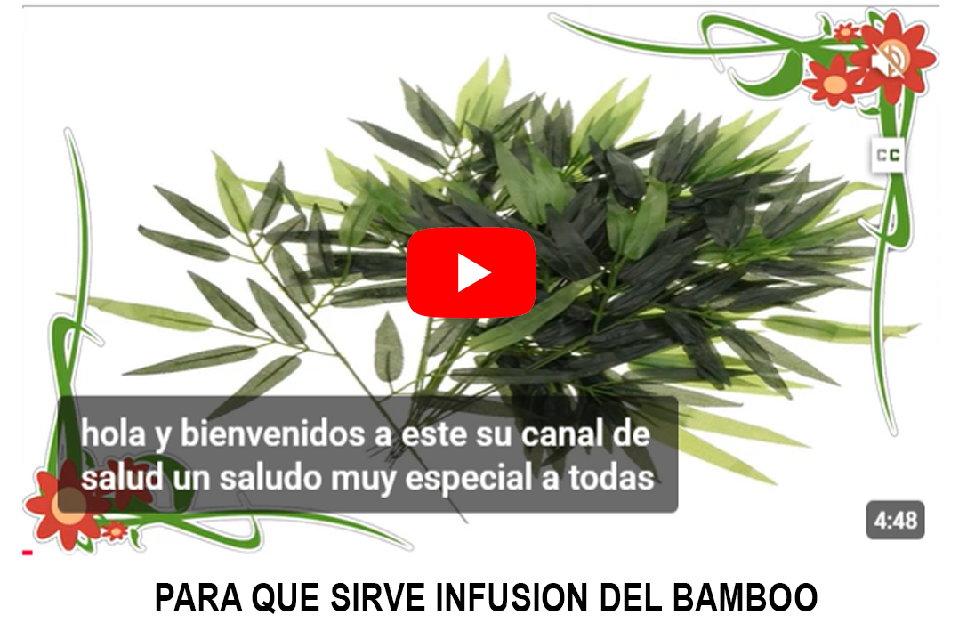 Foto del Producto