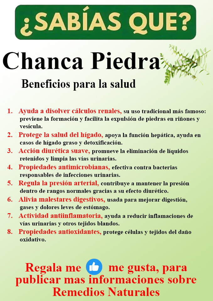 Foto del Producto