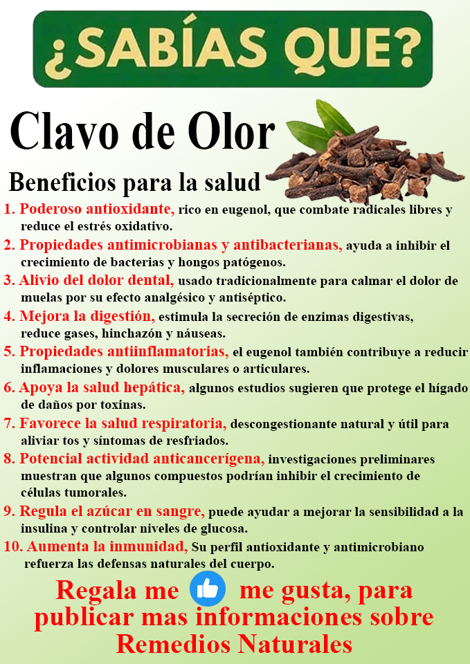 Foto del Producto