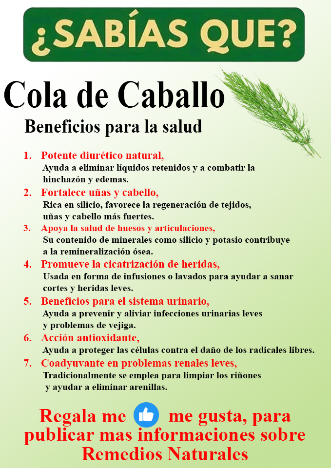 Foto del Producto