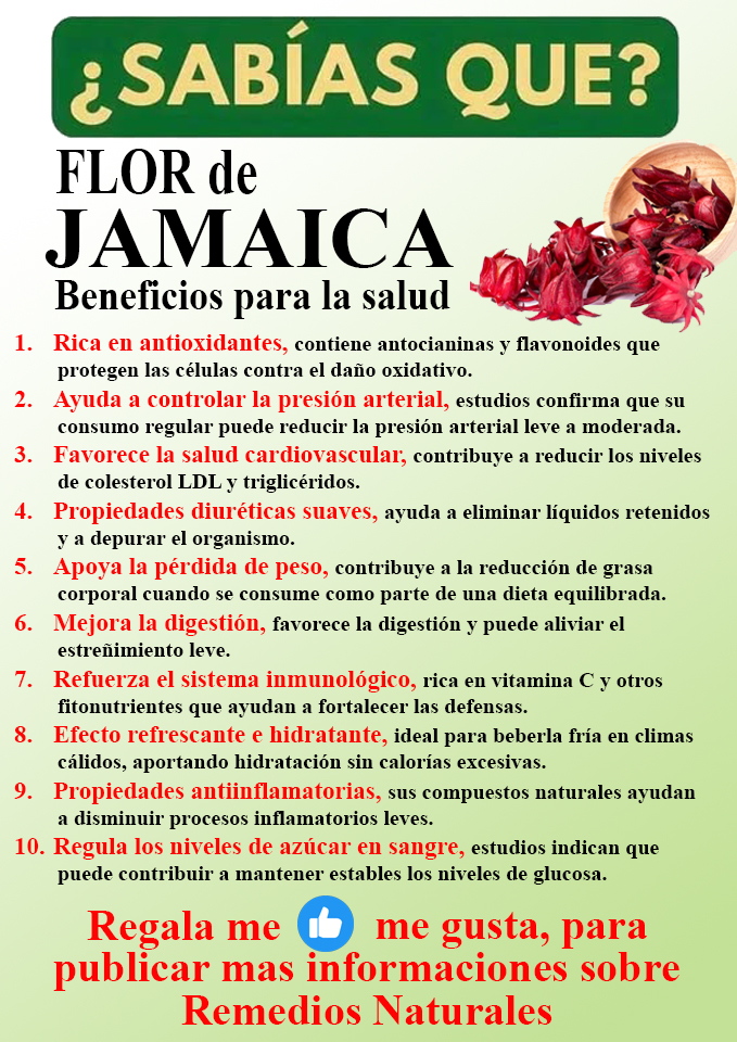 Foto del Producto