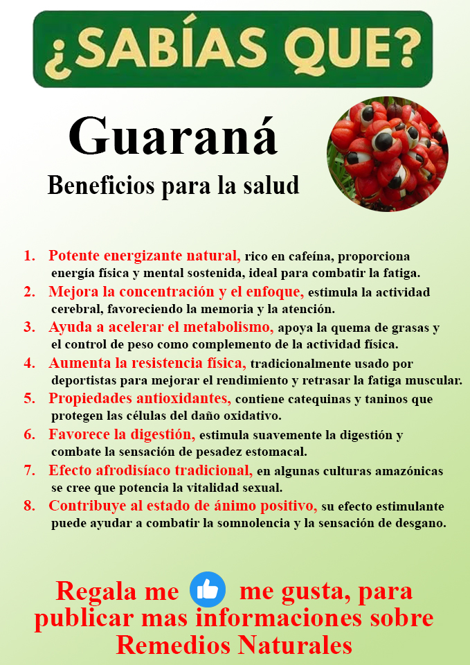 Foto del Producto
