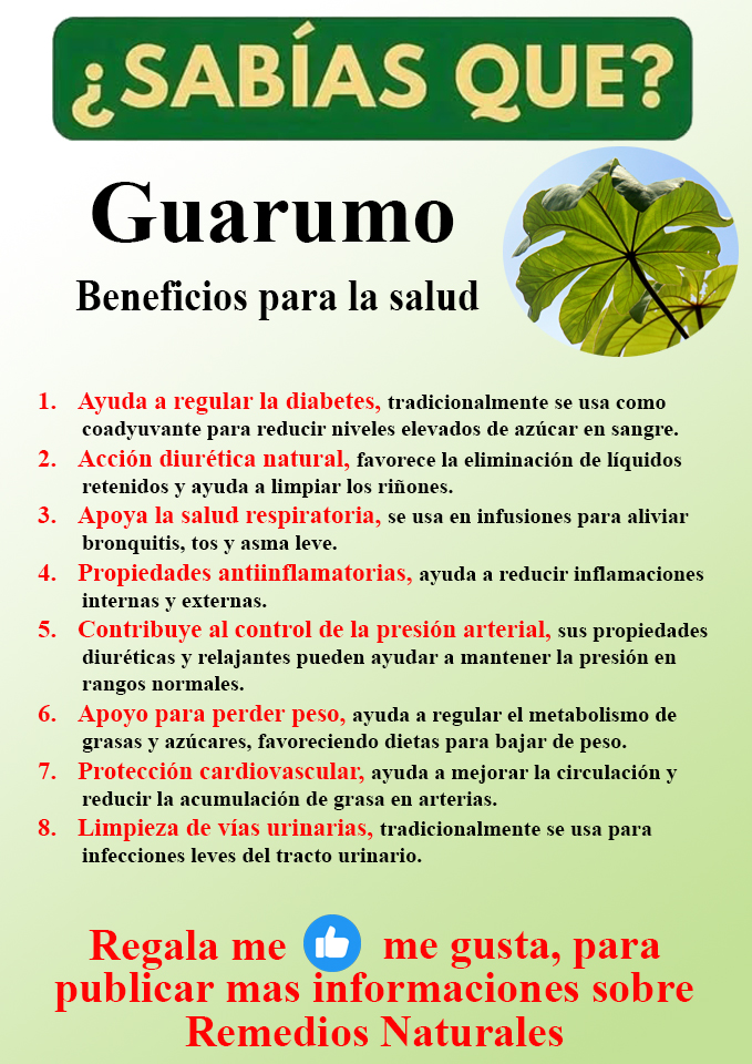 Foto del Producto