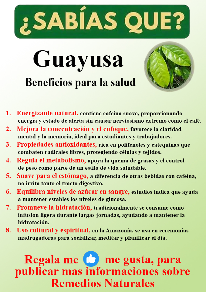 Foto del Producto
