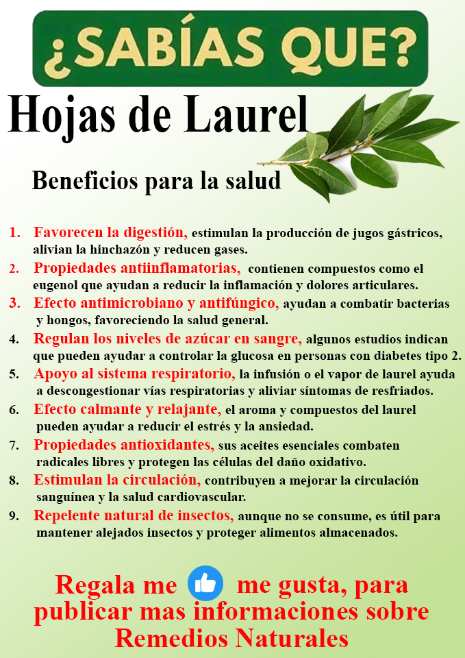 Foto del Producto