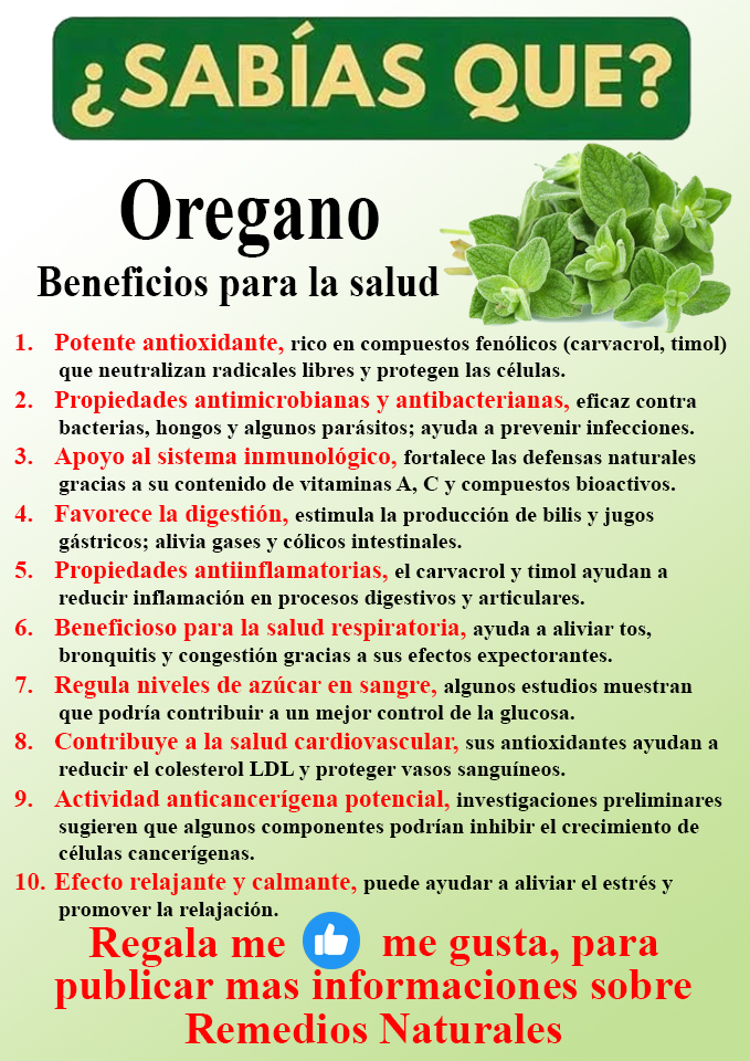Foto del Producto