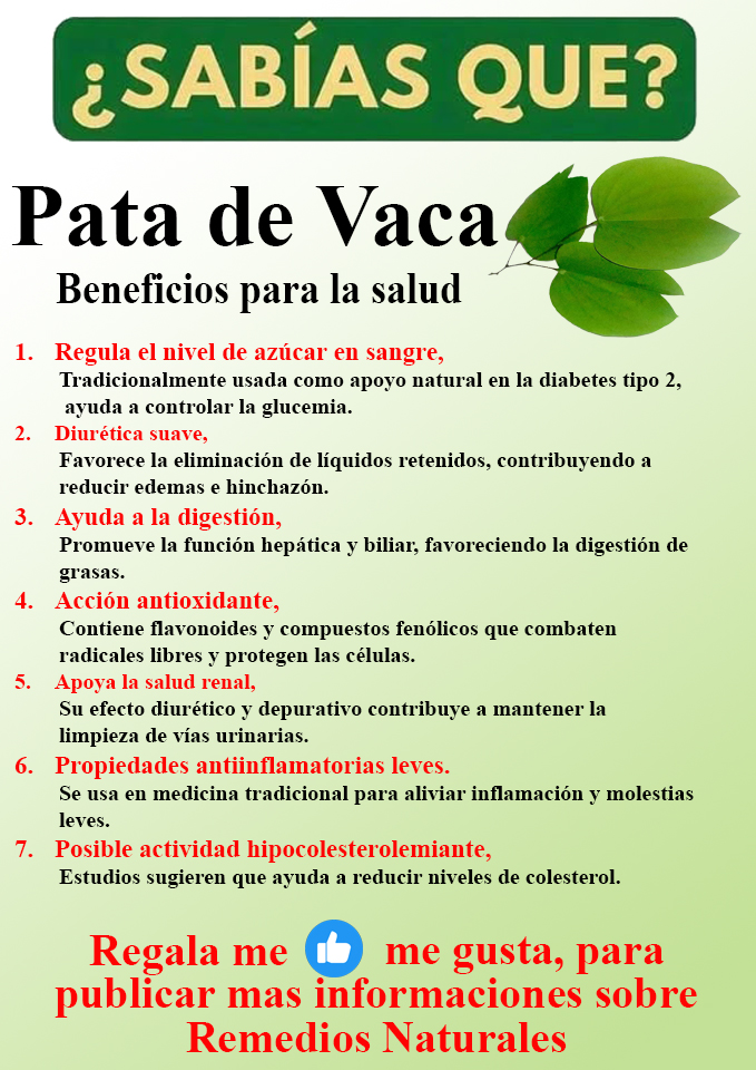 Foto del Producto