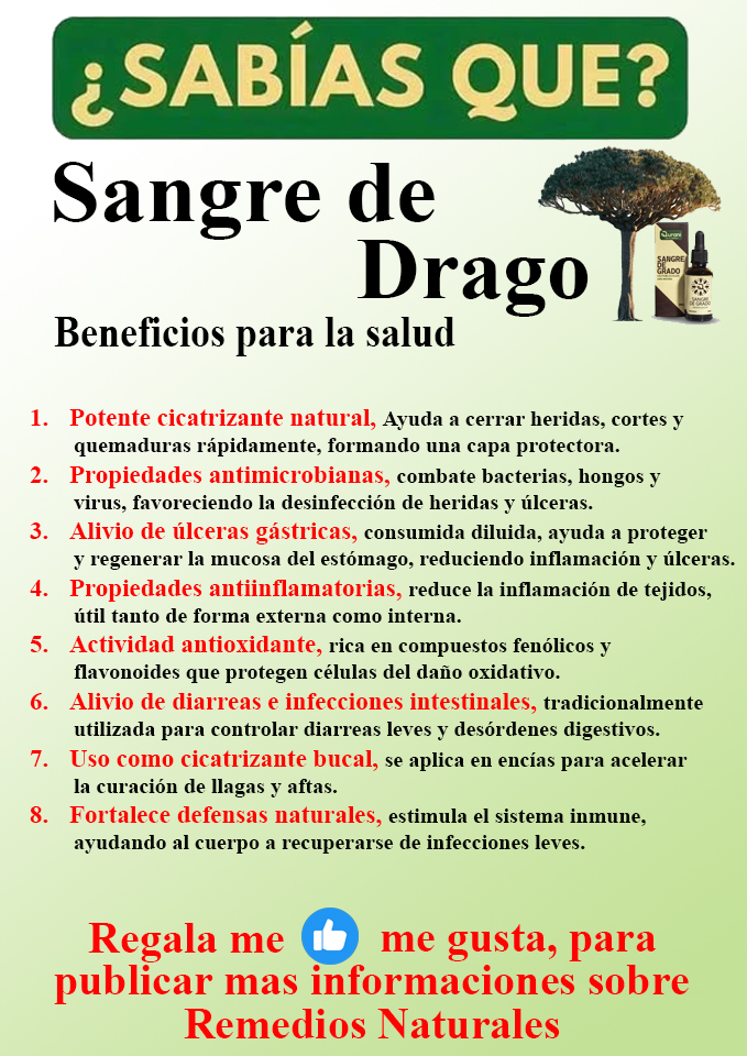 Foto del Producto
