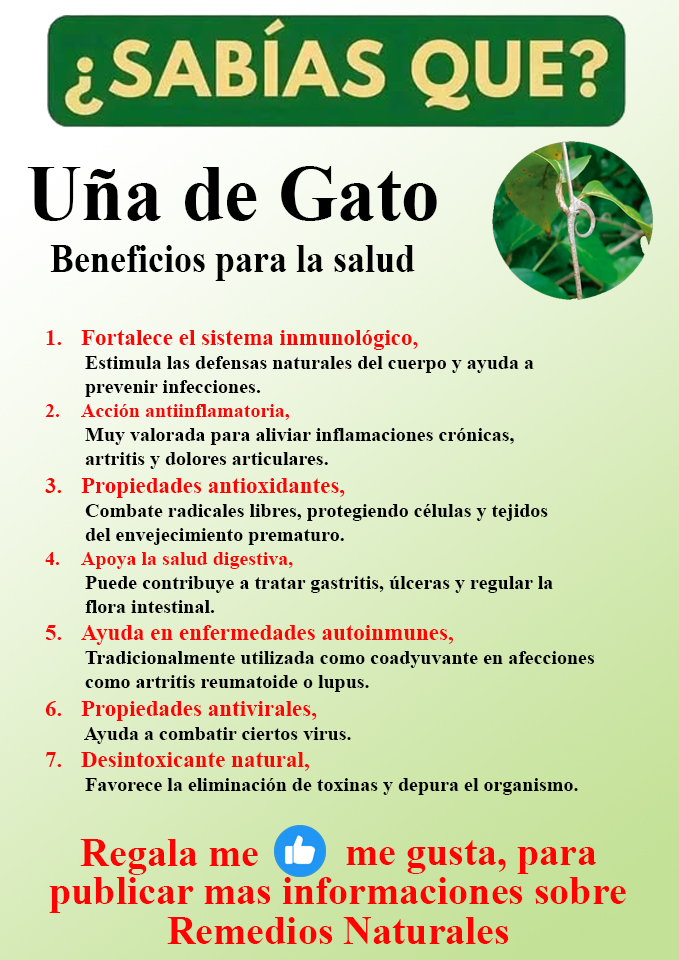 Foto del Producto