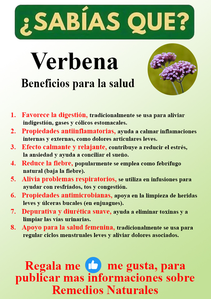 Foto del Producto