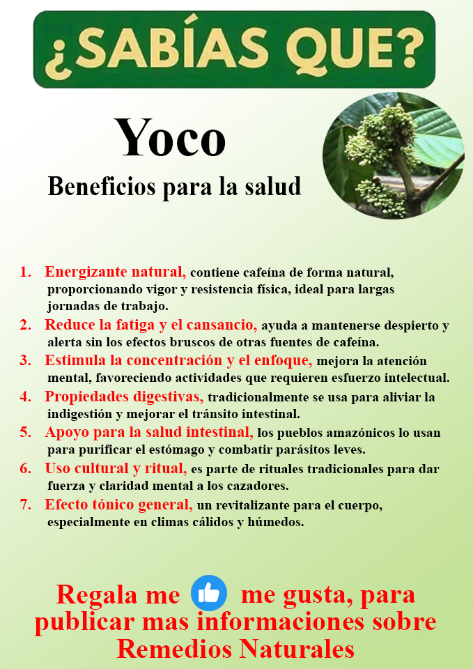 Foto del Producto